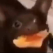 JimJam
