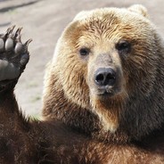 2Bear™