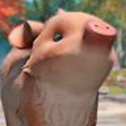 Shaggy piglet