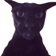 NoRzeW