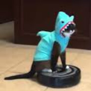 JovShark