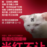 new马の蒂Zim