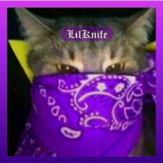 ! -Lil Knifee **********.com