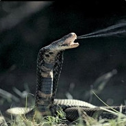 MambA