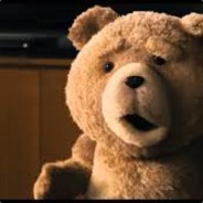 tim the bear