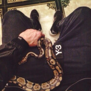 SsSnaKe