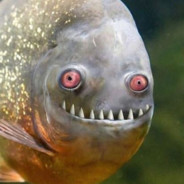 ronaldmekdoland avatar