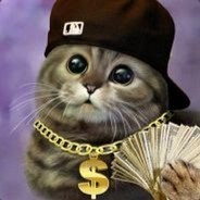 Kash