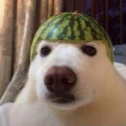 Perrito Sandia