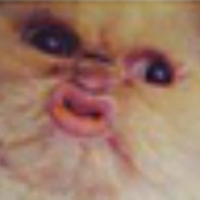 Hughut
