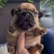 chub
