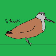Slankas