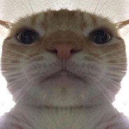 brotxer