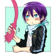 SHARK