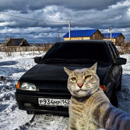 Носок судьбы