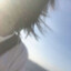 prpr\\