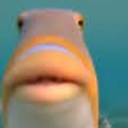 AaLaMa's avatar
