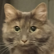 † Captain meow †
