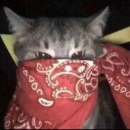 🄱🄾🄶🄳🄰🄽