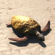 par