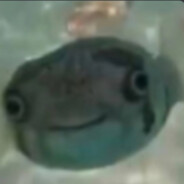 76561198981654514