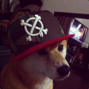 Steam profile picture for @filming
