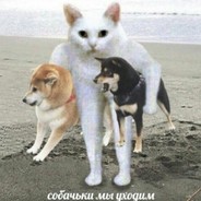 UnterDog