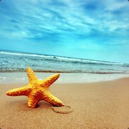 Summer - OFFLINE