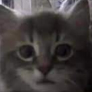 mmm check please