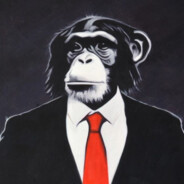 MrMonkeySam