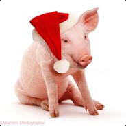 WOPSIDOP