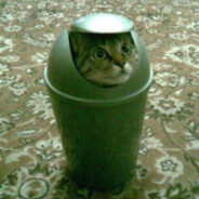 Tom Beron