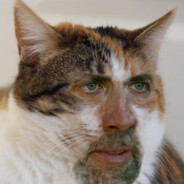 GarbanzoBeans