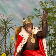 The Chimp King