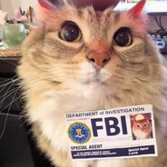 FBI