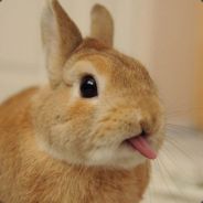 St3pan0ff
