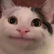 N E W B I E