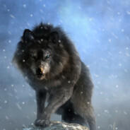 WOLF1982