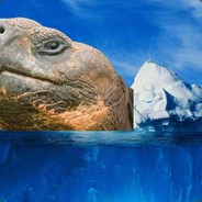 Glacier the Turtle