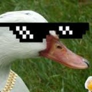 ROAD TO SILVER