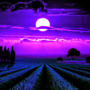 MooNLiGHT