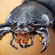 haggardian66