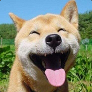 超人不会飞 。