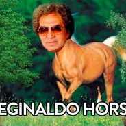 REGiNALDO HORSE