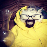 WALTER