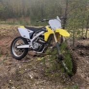 Mylvijä