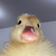 Pepegus