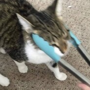 Mom Said It’s My Turn to Win