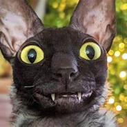 ᲼᲼