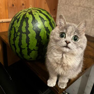 огонь по блядскому хутору